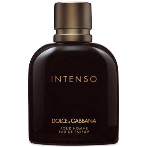 dolce gabbana intenso duftbeschreibung|dolce & gabbana intenso 125ml.